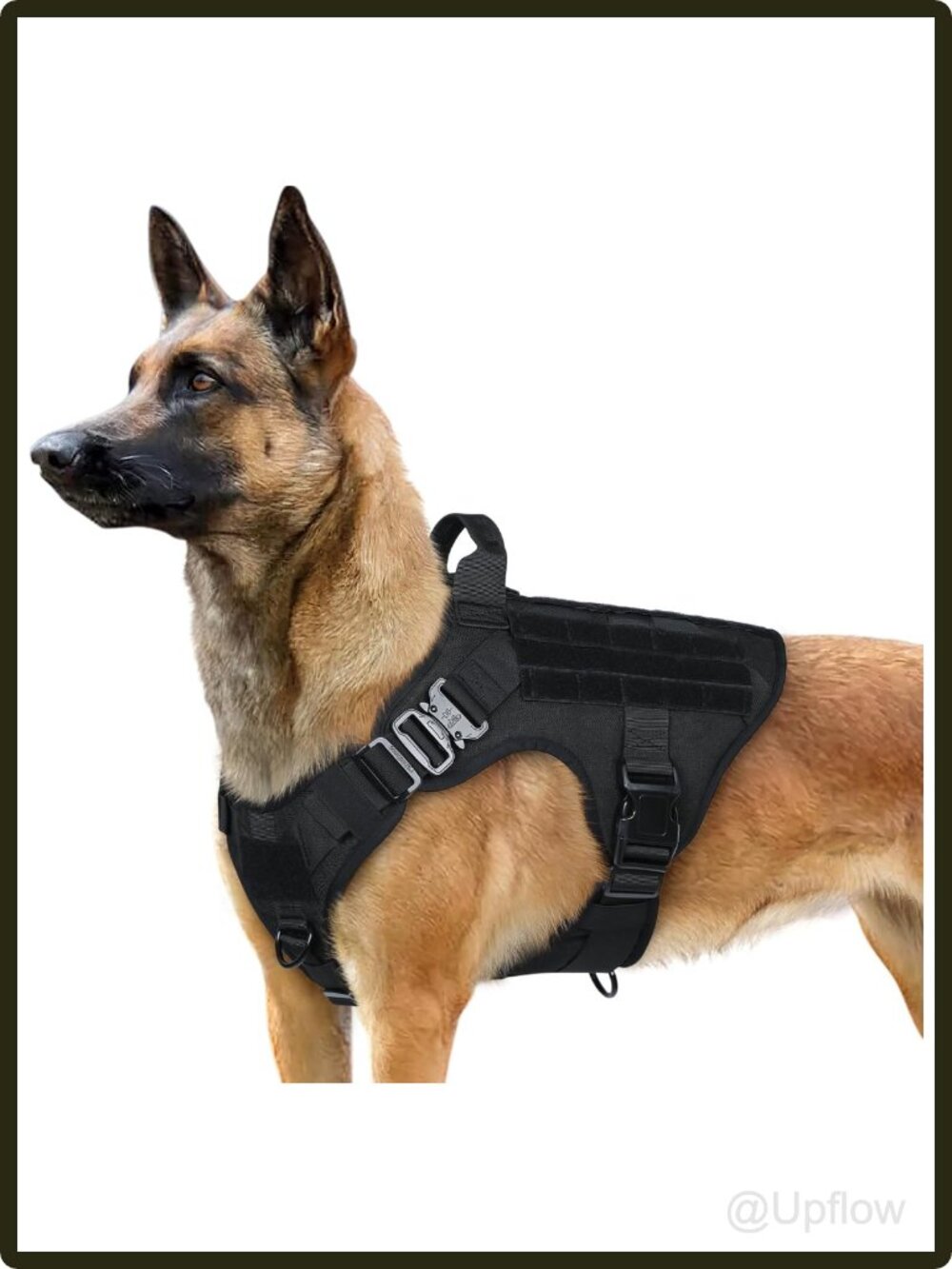Tactical Dog Harness Large No Pull Military Vest MOLLE 1050D Nylon Adjustable
